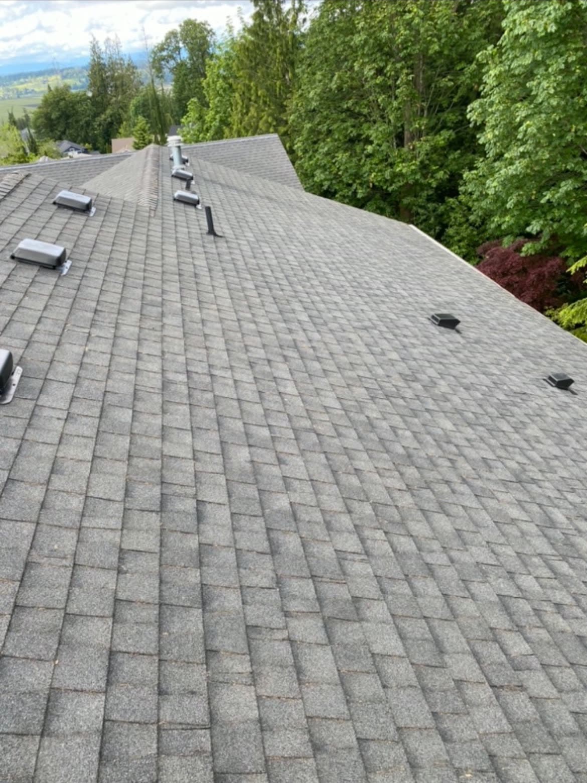 The same roof ridge after moss removal, the shingles clean and even.