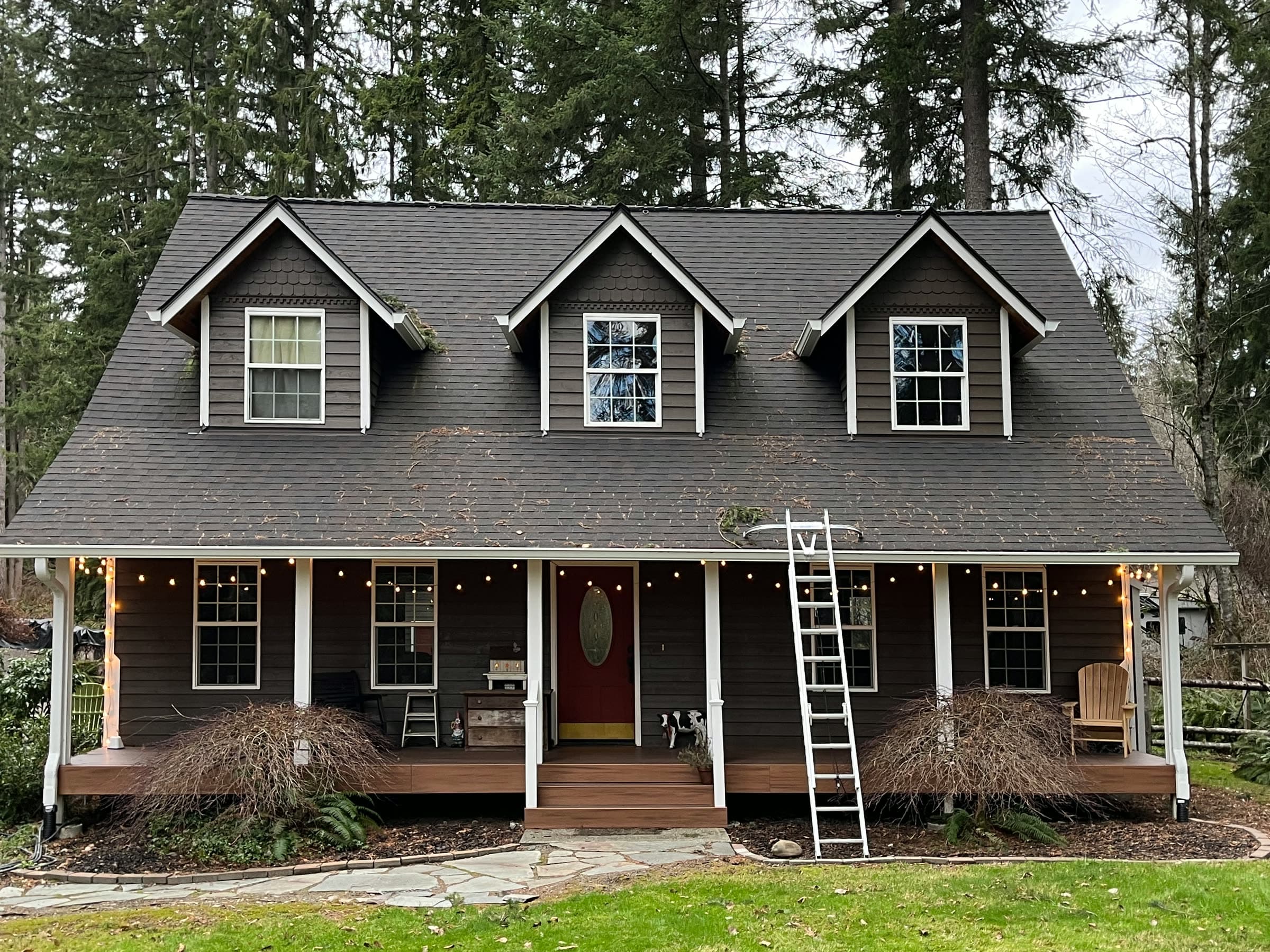 A Cape Cod house with three dormers, its roof dark with moss and streaks, a ladder against the porch.
