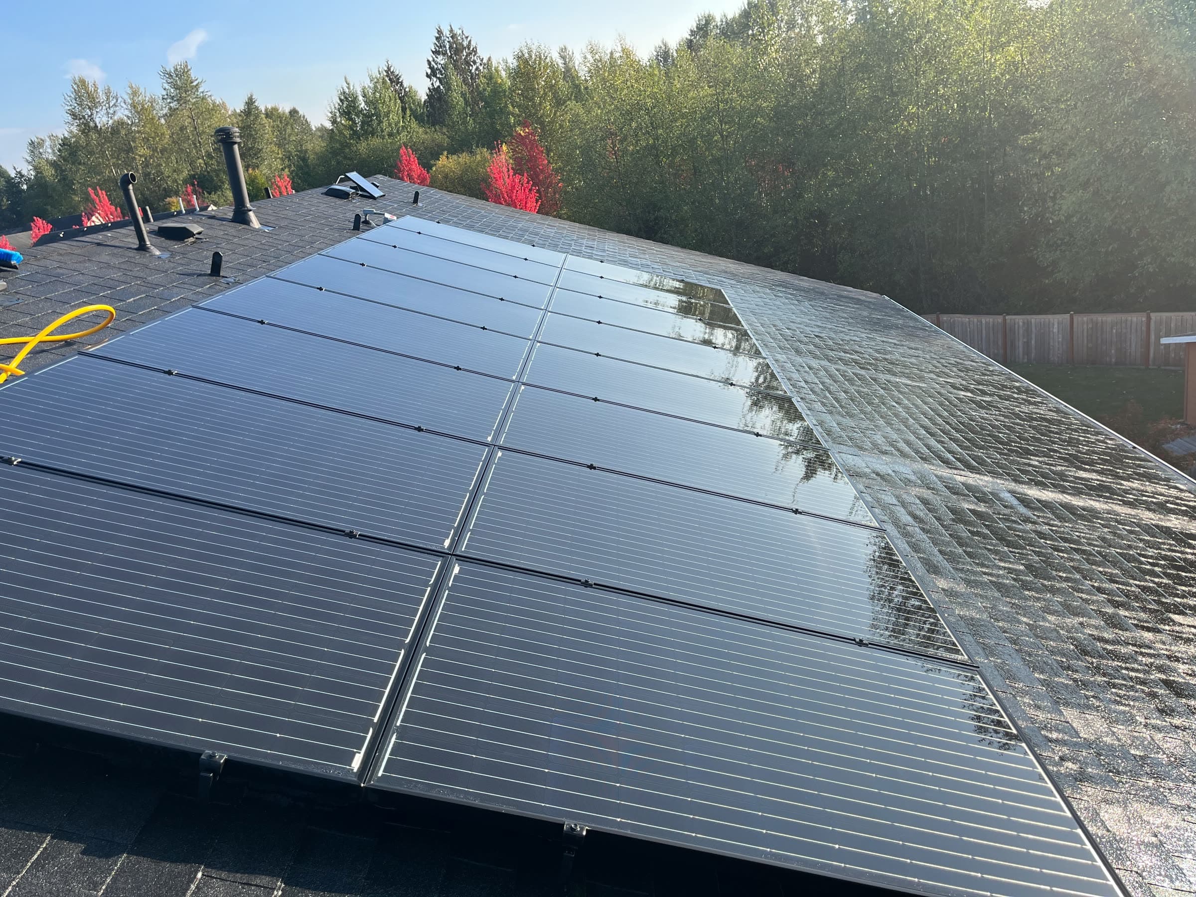 Rows of clean, wet solar panels on a roof, red autumn trees behind them.